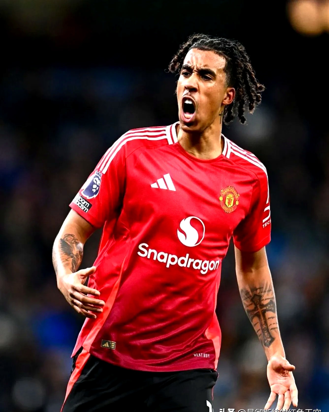 爱游戏APP-变形金刚领袖的挑战在线播放